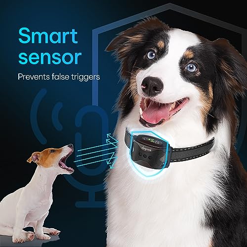 Image of DogRook Rechargeable Dog Bark Collar - No Shock Training Smart Collar - Beep & Vibrating - Anti Bark Collar for Large Dog, Medium & Small Dog - No Shock Bark Collar - 12-110 lbs