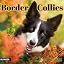 Border Collies2027