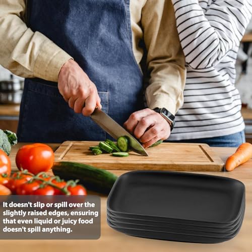 WANDGU 4 Stück Rechteckige Servierplatten: Vorspeisen Teller Rechteckig Schwarz Matt, Vorspeisen Teller, Dessertteller, Groß Teller für Dessert, Vorspeisen, Fleisch, Fisch, Sushi (Spülmaschinengeeigne