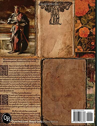 Medieval Junk Journal Pages: 44 Pages Illuminated Renaissance Manuscripts Kings Queens Knights Castles - Image 2