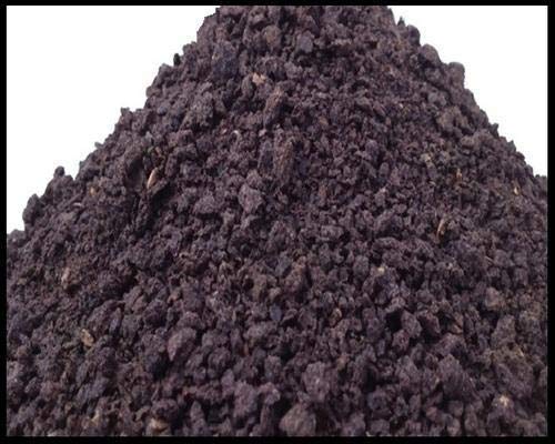 See full amazon price history chart for Green Paradise® Castor Oil Cake Organic Fertilizer Manure Pest Repellent (5 KG) Green Paradise® Castor Oil Cake Organic Fertilizer Manure Pest Repellent (5 KG) (B08BCTGNWW) Amazon Price History, Amazon Price Tracker