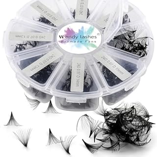 Pre Made Fan Volume Eyelash Extensions 20D 0.07mm D Curl 500 Fans 9-16mm Mixed Tray Premade Fans Loose Volume Lash Extensions Handmade Promade Loose Fans Lash(500-20D-0.07-D-916)