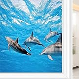 Dolphin Privacy Window Film, Underwater Photography of Dolphins Happily Swimming Ocean Animal Life I