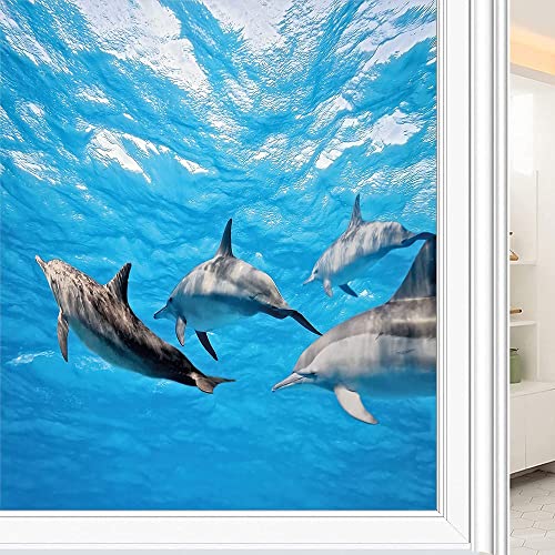 Dolphin Privacy Window Film, Underwater Photography Of Dolphins Happily Swimming Ocean Animal Life Image Print, Glass Film For Home Office Living Room, W35.4 X L78.7 Inch Grey Blue #TOP6
