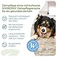 WHIMZEES by Wellness Antler, geweihförmiger Hundesnack für mittelgroße Hunde, Größe M, 12 Stück, wirkt ruhigend, ohne Zuckerzusatz, getreidefrei, natürlich, fettarm