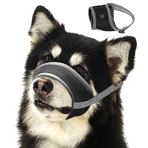 Looking For Best Muzzles Petsmart Picks For 2024 Glory Cycles