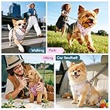 Pawaboo Hundegeschirr mit Hundeleine Set, X-Rahmen Verstellbares Anti Zug Anti-Erstickung Hund Brustgeschirr für Kleine, Mittelgroße Hunde & Welpen, Hundeweste mit Leine, M, Bunter Leopard