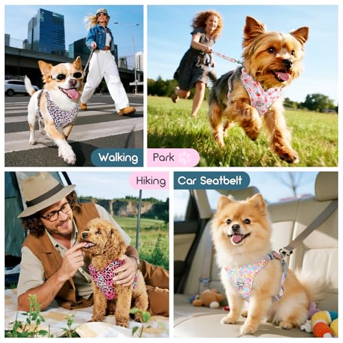 Pawaboo Hundegeschirr mit Hundeleine Set, X-Rahmen Verstellbares Anti Zug Anti-Erstickung Hund Brustgeschirr für Kleine, Mittelgroße Hunde & Welpen, Hundeweste mit Leine, M, Bunter Leopard