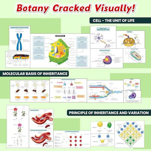 Image of PW NEET BioLens Biology Through Images For 2024-25 Exams l Interactive 3D Models, Visual Representation, Practice Questions [Paperback] PW