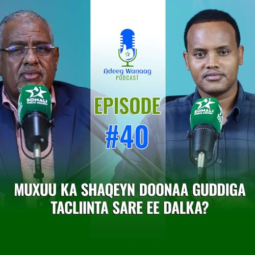 Muxuu ka Shaqeyn Doonaa Guddiga Tacliinta Sare ee Dalka?