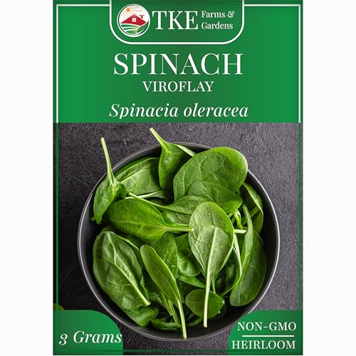TKE Farms & Gardens - Viroflay Spinach Seeds for Planting 250+ Heirloom Non-GMO Seeds Easy Growing Instructions Included Enjoy Giant Tender Nutrient-Packed Leaves