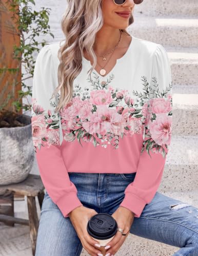 Image of Zeagoo Womens Long Sleeve Tops Fall V Neck Shirt Casual Pleated Tunic Top