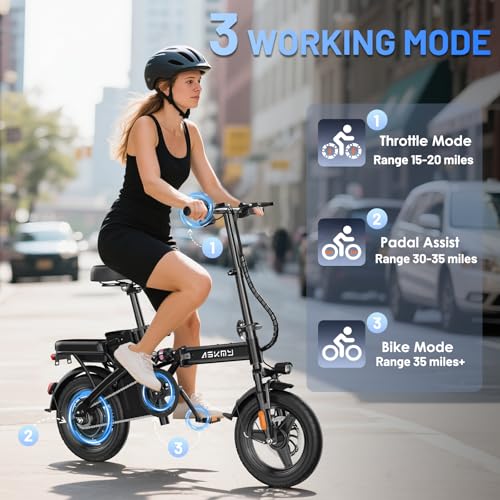 Electric Bike for Adults and Teens, 740W Peak Motor E-Bike