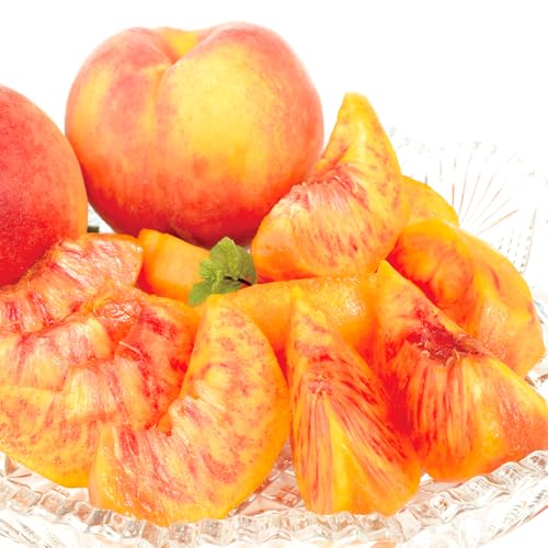 ���� 5kg ���b�T�[ ����Y �Z�� ����×�l�N�^���� ���ƒ�p �H�i