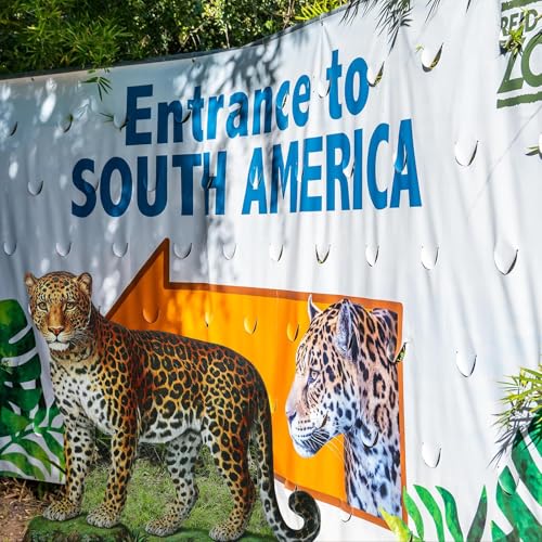 Image of Geelin 4 ft Rainforest Leopard Cardboard Standup Cutout Life Size Jungle Safari Animal Stand up Photo Prop for Zoo Safari Jungle Themed Birthday Party Classroom Decoration Supplies