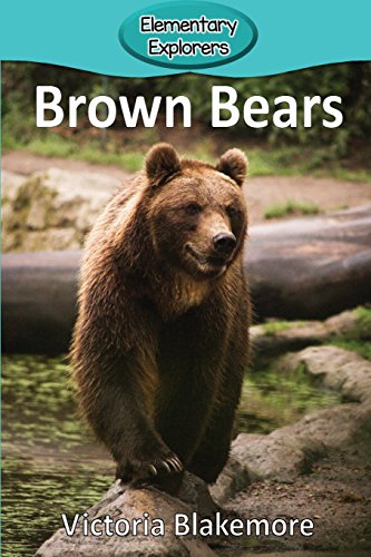 Brown Bears (Elementary Explorers)