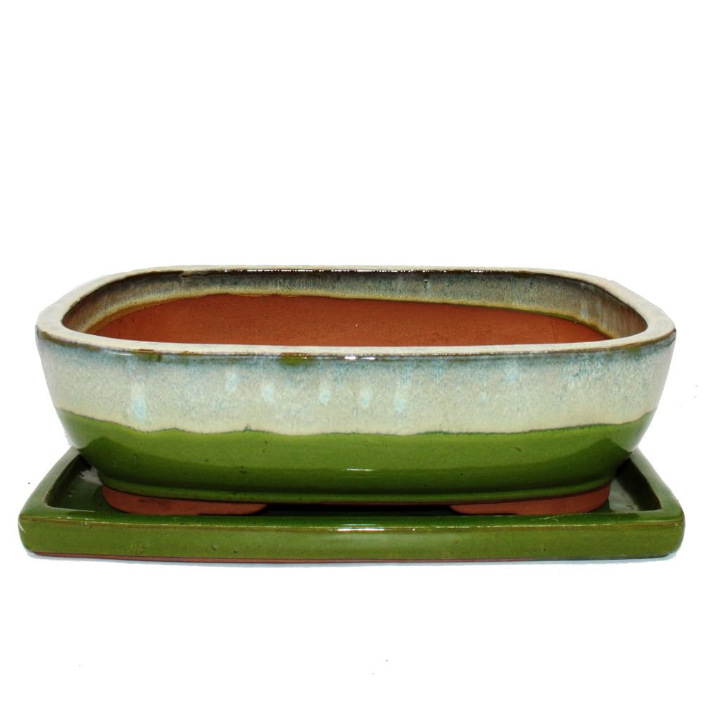 exotenherz Bol à bonsaï avec soucoupe taille 6 vert/beige rectangulaire modèle GB5 L 37 cm l 28 cm H 10 cm
