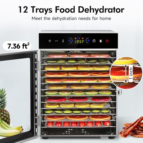 Electric Food Dehydrator 10 Trays