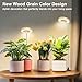 Aokrean Grow Light, 48 LEDs Full Spectrum Plant Lights for Indoor Growing, Height Adjustable Faux Wood Grain Plant Grow Light with Base, 3 Optional Spectrums, Auto Timer 6/12/16Hrs, 5 Brightness
