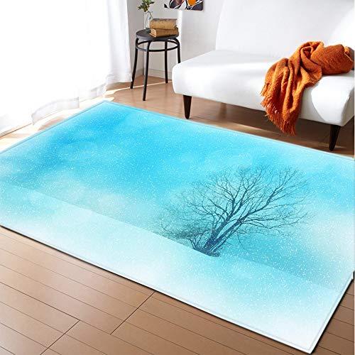 Nordic Simple Paisaje Azul Alfombras Antideslizantes Alfombra Decorativa Gran Impresión Bohemia Arte Abstracto Decoracion para Living Comedor Dormitorio Cocina,63×48 Pulgadas (160.0×121.9Cm) Cover
