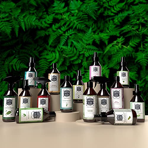 Plant Leaf Shine Spray - Plant Care Mist with Vitamin C & Lavender - Safe Plant Spray for Indoor Plants - Enhances Leaf Shine & Protects Against Dust, Bugs & Residue - 250ml