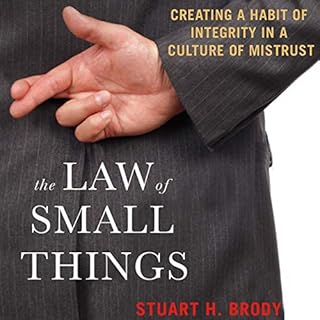 The Law of Small Things Audiolibro Por Stuart H. Brody arte de portada