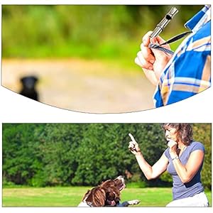Dog-Whistle-to-Stop-Barking-Neighbors-Dog-Training-Tools-High-Pitch-Dog-Training-Whistle-Copper-Core-Dog-Whistles-for-Recall-and-Pet-Behavior-Control-2-Pcs - Cucciolini Doodles   Dog-Whistle-to-Stop-Barking-Neighbors-Dog-Training-Tools-High-Pitch-Dog-Training-Whistle-Copper-Core-Dog-Whistles-for-Recall-and-Pet-Behavior-Control-2-Pcs