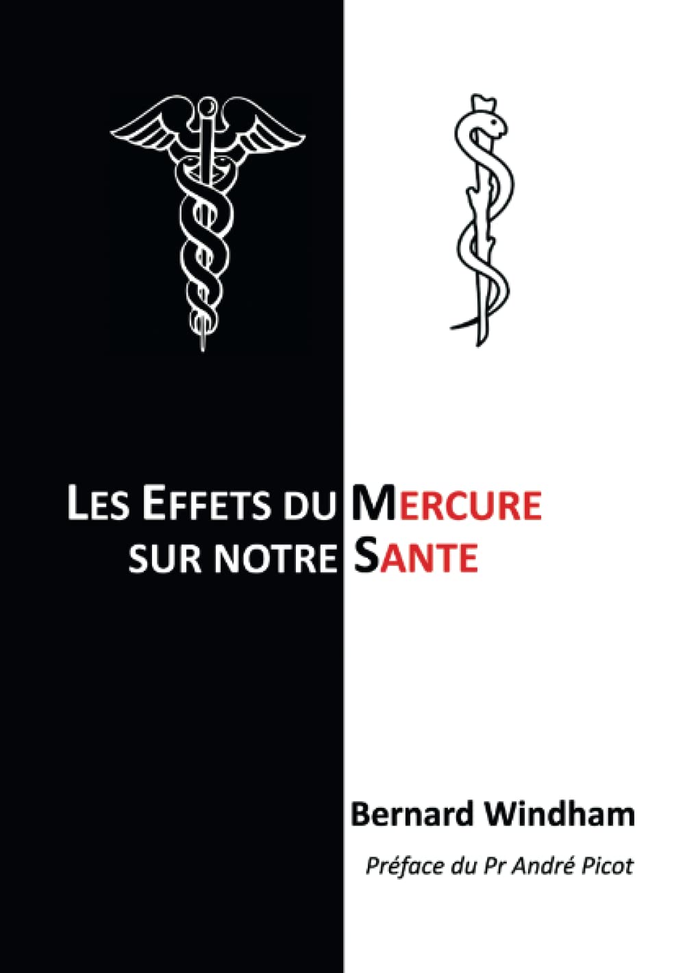 Les Effets du Mercure sur notre Santé