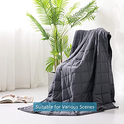 Syrinx Weighted Blanket Twin 15 Lbs For Adults (48"X72", Dark Grey, Twin Size), Cooling Breathable Weighted Blanket With No-Leaking Glass Beads #TOP7
