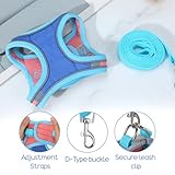 Adjustable Bunny Harness And Leash Set, Double Buckles Breathable Mesh Rabbit Vest with Reflective Strips, Escape Proof Small Pet Walking Training Gear for Rabbits, Kittens, Ferrets, Guinea Pigs (M) - Image 3