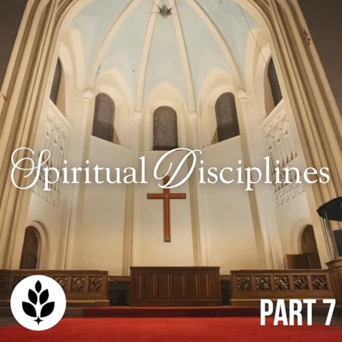 The God Sized Void | Spiritual Disciplines