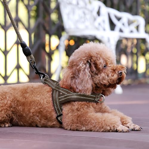 Image of Plutus Pet No Pull Dog Harness for Large Dogs, Breathable Mesh Padded