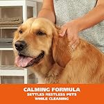Wahl USA Pet Friendly Waterless No Rinse Shampoo for Animals – Lavender & Chamomile for Cleaning, Conditioning, Detangling, & Moisturizing Dogs & Horses – 7.1 Oz – Model 820014A