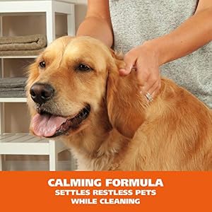 Wahl USA Pet Friendly Waterless No Rinse Shampoo for Animals – Lavender & Chamomile for Cleaning, Conditioning, Detangling, & Moisturizing Dogs & Horses – 7.1 Oz - Model 820014A Wahl USA Pet Friendly Waterless No Rinse Shampoo for Animals – Lavender & Chamomile for Cleaning, Conditioning, Detangling, & Moisturizing Dogs & Horses – 7.1 Oz – Model 820014A