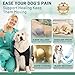 Pawfun Dog Elbow Brace Sleeve, Breathable and Adjustable Front Leg Support Brace for Arthritis, Hygroma, Pressure Sores, and Calluses, Soft Wrap for Lick Prevention and Injury Recovery, Right L