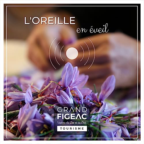 Le safran - l'or rouge du Quercy