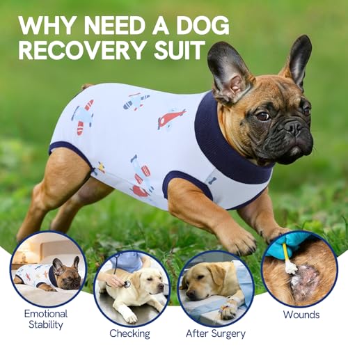 Image of SAWMONG Recovery Suit for Dogs Female Male, Breathable Dog Onesie Body Suit After Surgery Spay Neuter, Professional Pet Surgical Suit, Substitute Pet E-Collar Cone (Blue, XS)