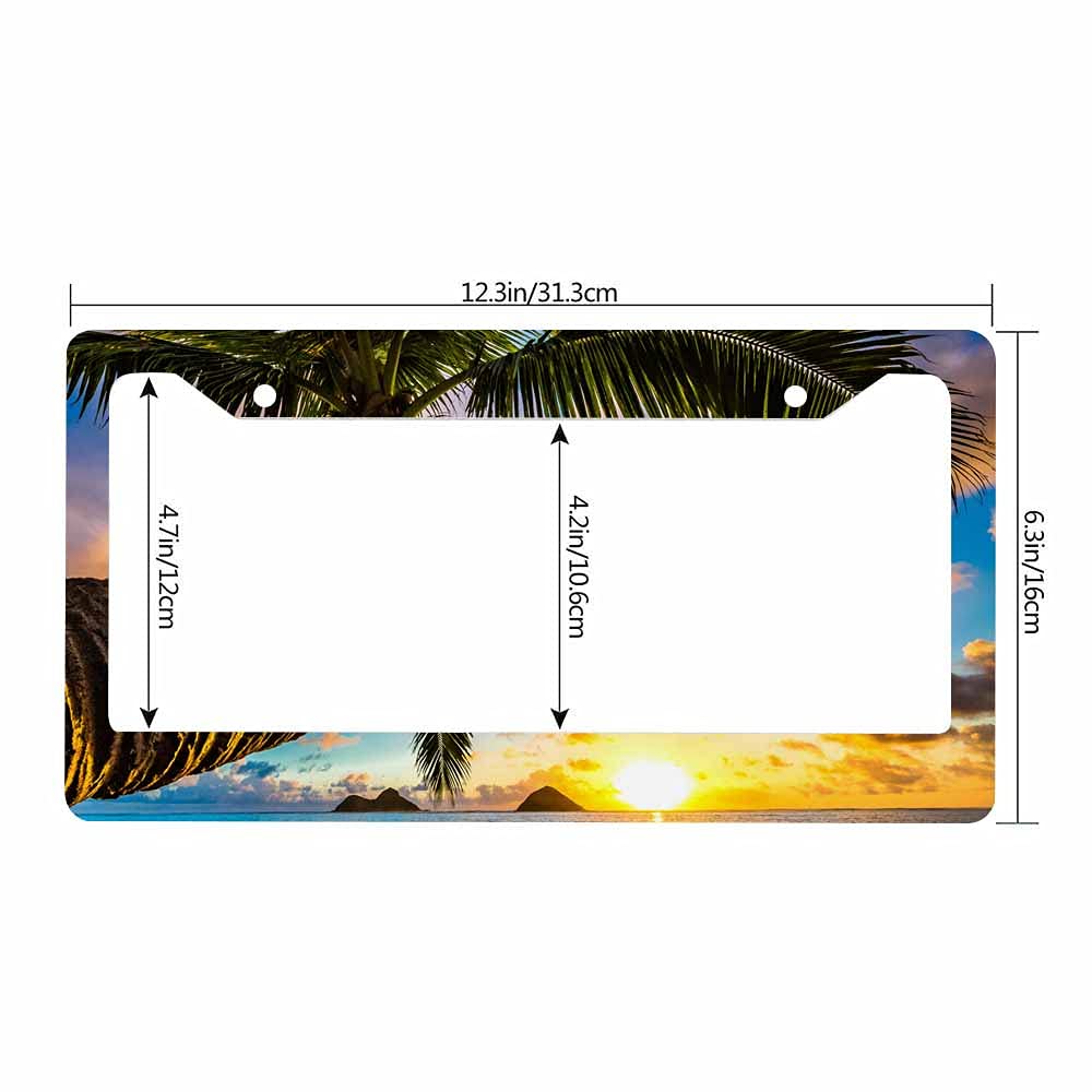 Nicokee Decorative License Plate Frame Black Celtic Viking Car Tag Frame Aluminum Auto License Plate Holder for Men Women