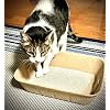 Midlee Disposable Cat Litter Boxes Pack of 5- Travel Portable Pet Tray Liner Pan