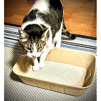 Midlee Disposable Cat Litter Boxes Pack of 5- Travel Portable Pet Tray Liner Pan
