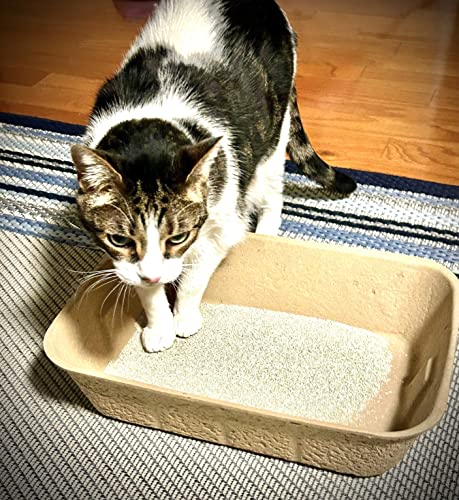 Midlee Disposable Cat Litter Boxes Pack of 5- Travel Portable Pet Tray Liner Pan - Thumbnail 3