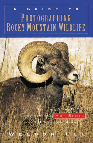 A Guide to Photographing Rocky Mountain Wildlife