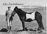  Alte Zuchtlinien: Die legendären Islandpferdezuchtlinien im Porträt – mit Hintergrund über Pferdeaufzucht und -haltung in Island