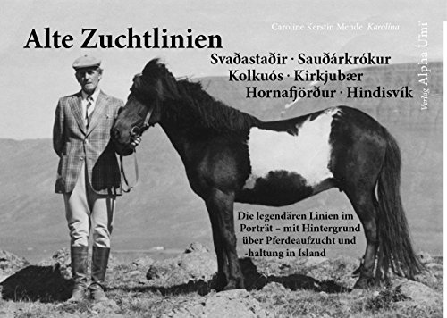 Alte Zuchtlinien: Die legendären Islandpferdezuchtlinien im Porträt – mit Hintergrund über Pferdeaufzucht und -haltung in Island