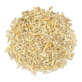 1/2 LB Shark Teeth Bulk Fossils Wholesale - Real Authentic Shark Tooth - High Grade Fossils