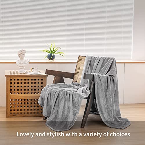 Ruikasi Fleece Throw Blanket Twin - Extra Warm Flannel Blanket Grey For Twin Size Bed, Super Soft Plush Fuzzy Blanket For Sofa And Couch, Fluffy Blanket 60X80 Inches #TOP4