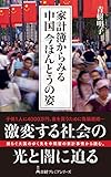 家計簿からみる中国 今ほんとうの姿