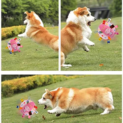 Cão Brinquedo Bola - Bola de Cachorro de Busca Interativa de 6 polegadas com Som Squeaky Divertido -