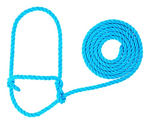 Weaver Leather Cow Poly Rope Halter - Hurricane Blue