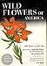 Wild Flowers Of America